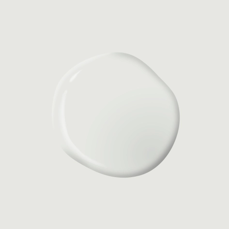 Radisson PPG1013 1